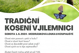 Tradin kosen v Jilemnici